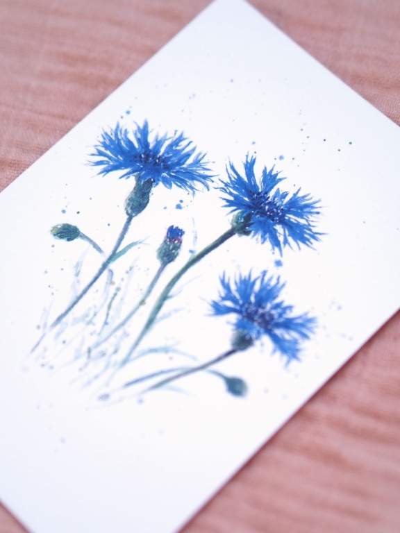 Premium Postkarte "Kornblume"